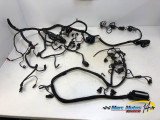 FAISCEAU BMW K1200R 2006
