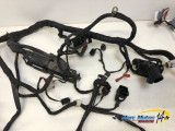 FAISCEAU BMW K1200R 2006