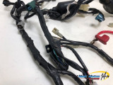 FAISCEAU YAMAHA MT03 660 2006