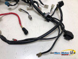 FAISCEAU YAMAHA MT03 660 2006