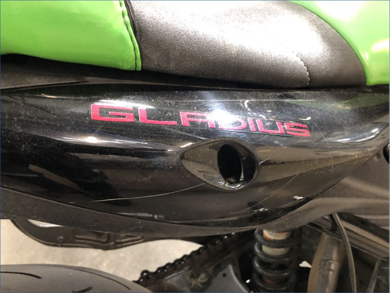 SUZUKI 650 GLADIUS 