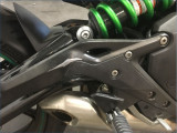 KAWASAKI ER6 N