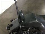 HARLEY-DAVIDSON 1600 FLSTF FAT BOY 