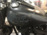 HARLEY-DAVIDSON 1600 FLSTF FAT BOY 