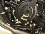 BMW M1000R 