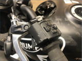 TRIUMPH 660 TRIDENT 