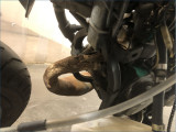 GILERA 50 SMT 