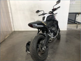TRIUMPH 660 TRIDENT TRIBUTE