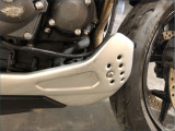 TRIUMPH 660 TRIDENT TRIBUTE