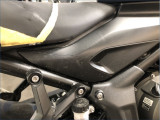 TRIUMPH 660 TRIDENT TRIBUTE