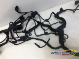 FAISCEAU BMW R1200GS 2014