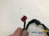 STATOR TRIUMPH 765 STREET TRIPLE RS 2017