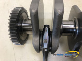 VILEBREQUIN APRILIA 457 RS 2024