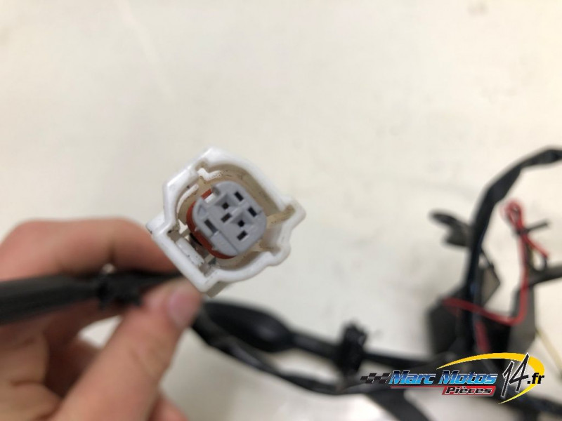 SUPPORT DE PLAQUE YAMAHA MT10 2019