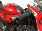 QJMOTOR 800 SRK RR 