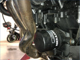 QJMOTOR 800 SRK RR 
