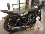 HARLEY-DAVIDSON 883 XLN SPORTSTER 