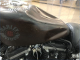 HARLEY-DAVIDSON 883 XLN SPORTSTER 