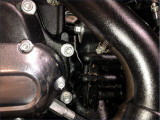HARLEY-DAVIDSON 1920 SOFTAIL HERITAGE CLASSIC 