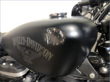 HARLEY-DAVIDSON 883 XLN SPORTSTER IRON