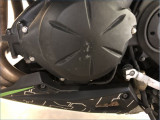 KAWASAKI ER6 N ABS