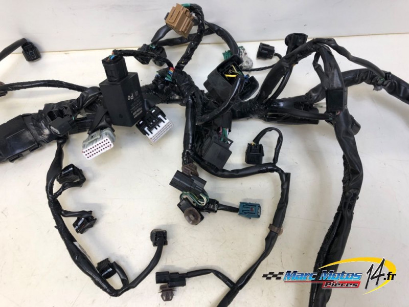 FAISCEAU HONDA CBR650R 2024