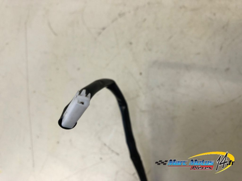 FEU ARRIERE HONDA CBR650R 2024
