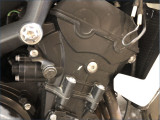 TRIUMPH 675 STREET TRIPLE R ABS