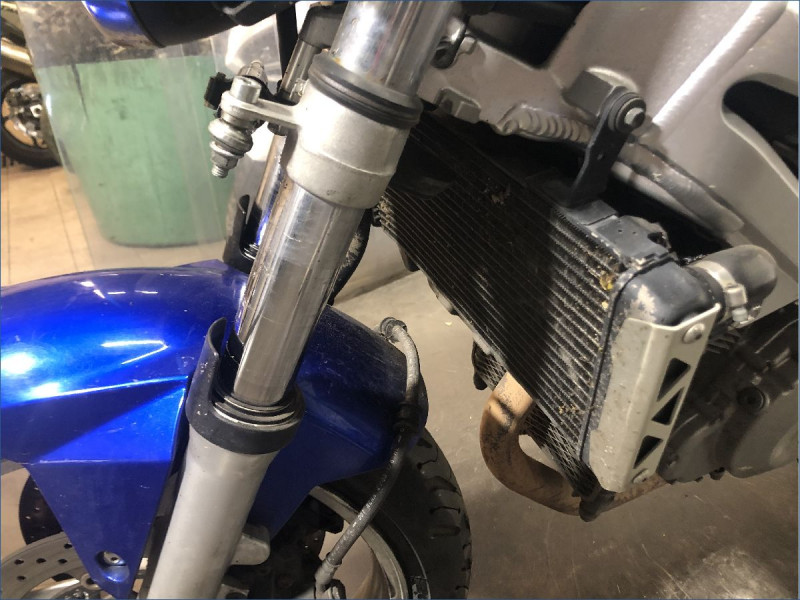 SUZUKI 1000 SV N