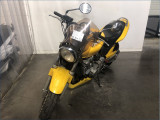 HONDA 600 HORNET 