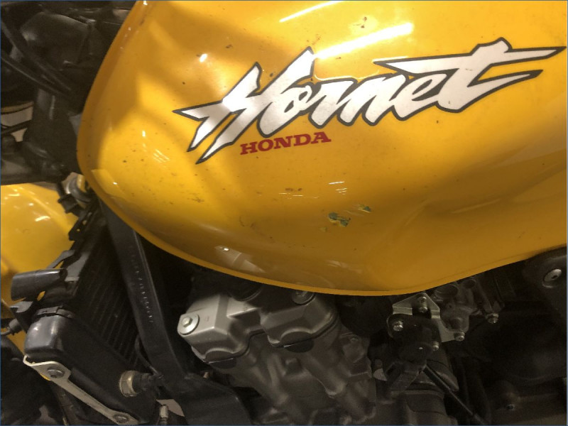 HONDA 600 HORNET 