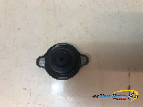 BOUCHON DE RADIATEUR BMW S1000XR 2016