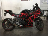 KAWASAKI 300 NINJA 