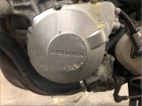 HONDA 600 HORNET N