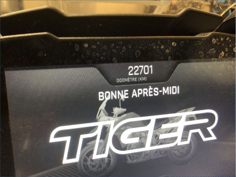 TRIUMPH 900 TIGER GT PRO