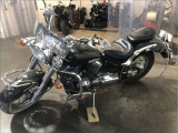 YAMAHA 650 XVS DRAGSTAR MTT1