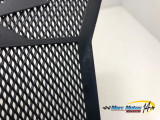 GRILLE DE RADIATEUR BMW S1000R 2014