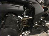 TRIUMPH 765 STREET TRIPLE R
