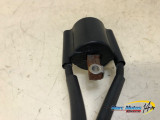 BOBINE D'ALLUMAGE YAMAHA 1300 XJR 2006