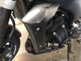 YAMAHA FZ1 N