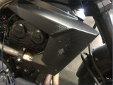 KAWASAKI 650 VERSYS 