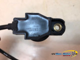 BOBINE CRAYON APRILIA 1100 TUONO V4 FACTORY 2015