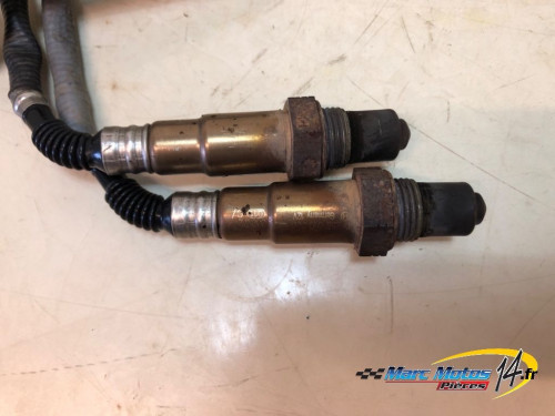 SONDE LAMBDA KTM 890 DUKE R 2023