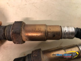 SONDE LAMBDA KTM 890 DUKE R 2023