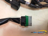 FAISCEAU YAMAHA MT07 ABS A2 2023
