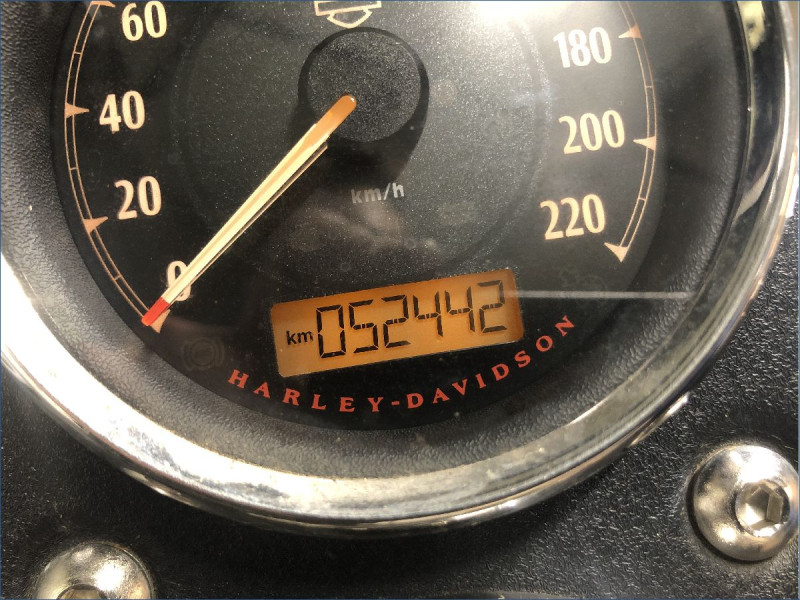 HARLEY-DAVIDSON 1690 DYNA LOW RIDER 
