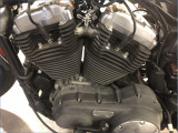 HARLEY-DAVIDSON 1200 XLN SPORTSTER NIGHTSTER 