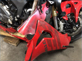 QJMOTOR 800 SRK RR 