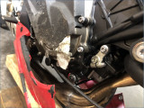 QJMOTOR 800 SRK RR 