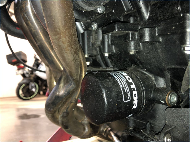 QJMOTOR 800 SRK RR 